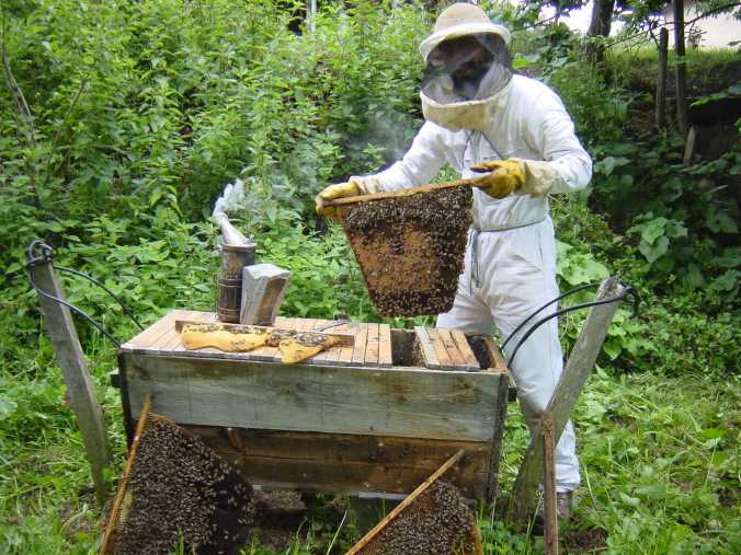 Kenyan Top Bar Beehive